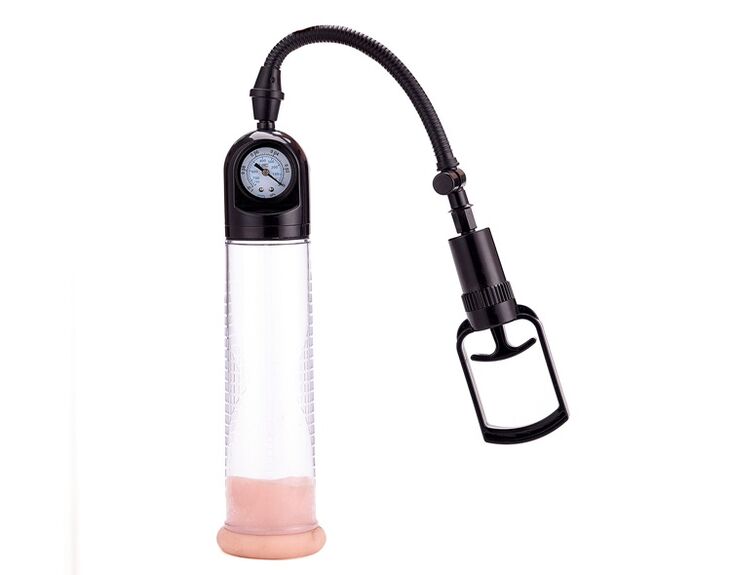 Pump for the penis